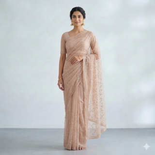 Elegant Sandstone Partywear Saree