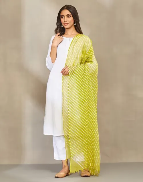 Green Cotton Silk Tie And Dye Dupatta Neer Rang