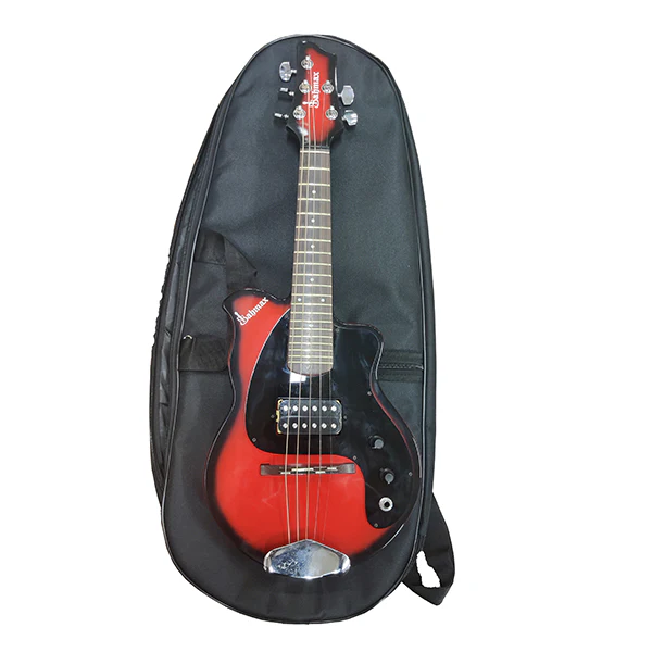 Carnatic Mandoline
