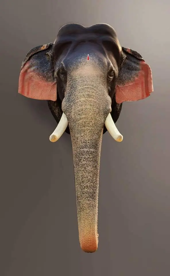 Shivasundar Wall Hanging Elephant Head 3 feet Fibre