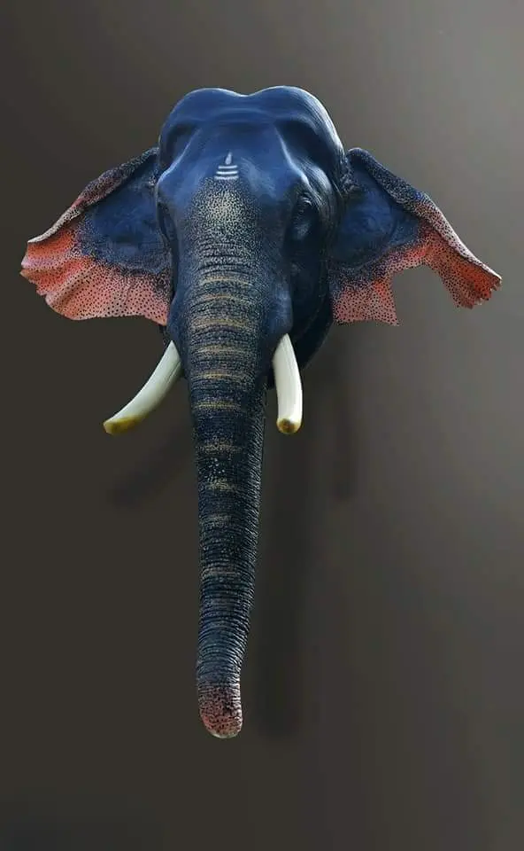 Shivaraju Wall Hanging Elephant Head 27 Inches Fibre