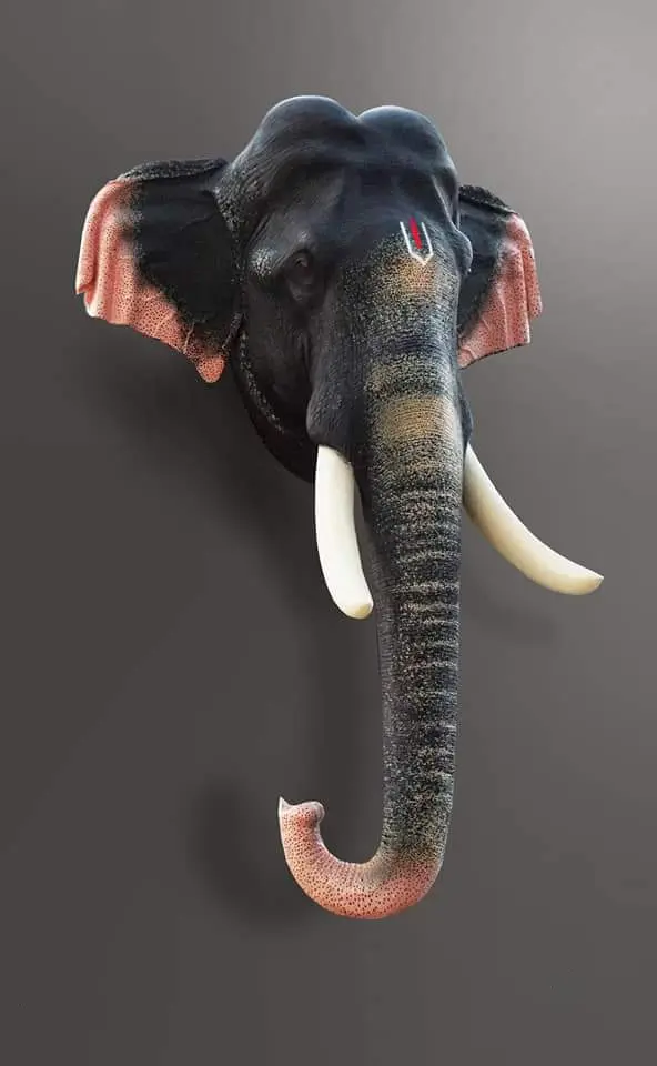 Rajan Wall Hanging Elephant Head 27 Inches Fibre