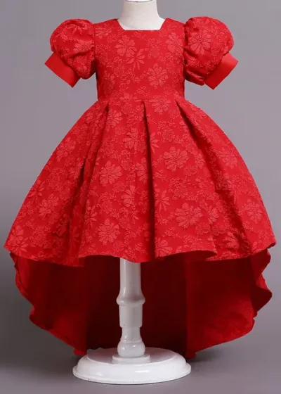 Floral Embroidered Party Dress