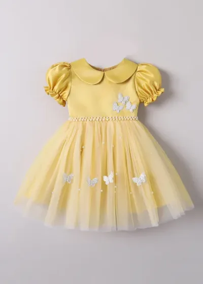 Butterfly Applique Party Dress